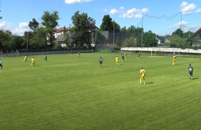 Prijateljska tekma: Domžale - Krka 3:1
