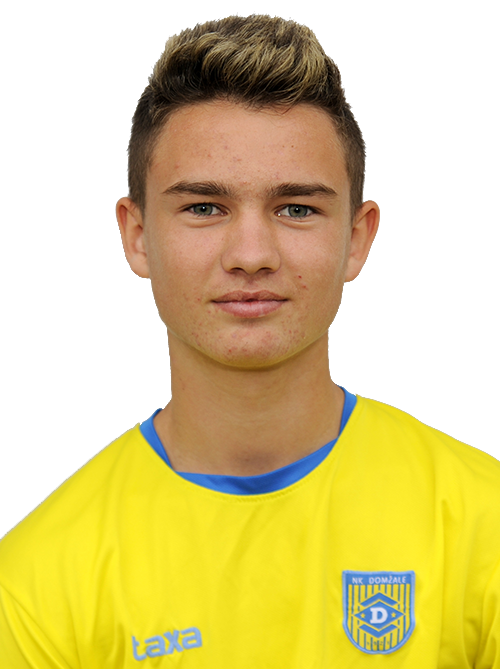 Ga&scaron;per Hrovat