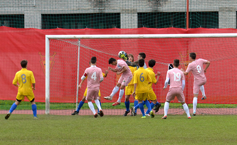 obramba_gr12052013.jpg