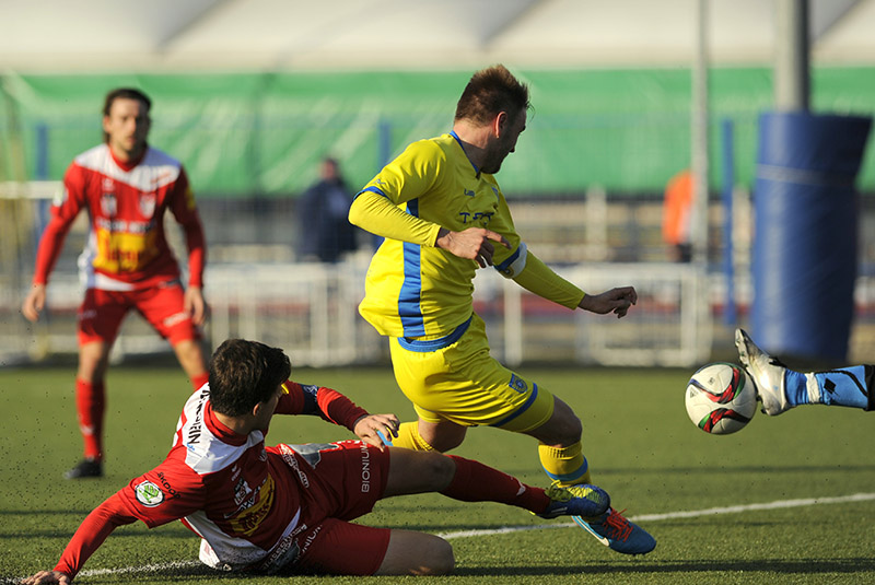 Slobodan Vuk