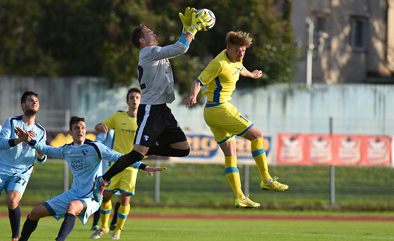 Slobodan Vuk