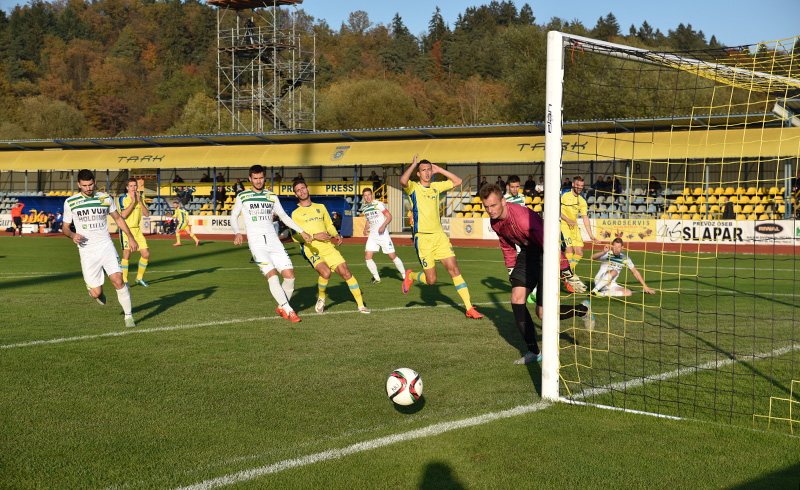 Slobodan Vuk
