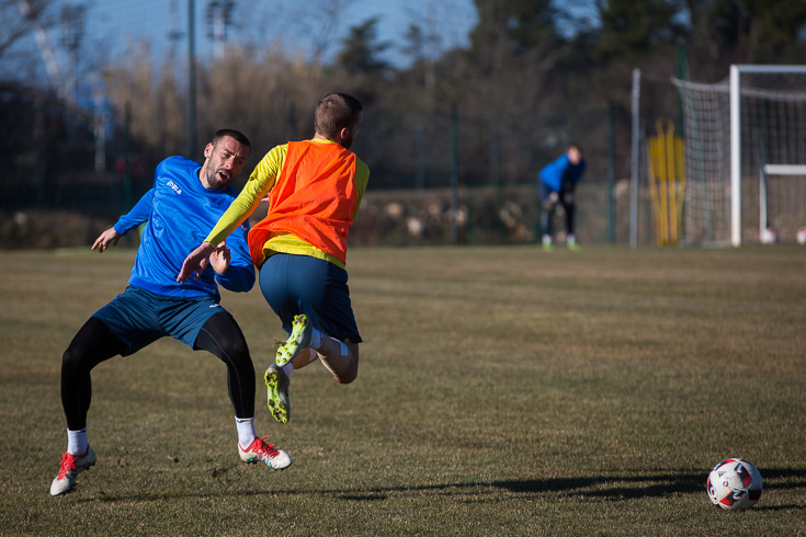 17 brachi tr20170124
